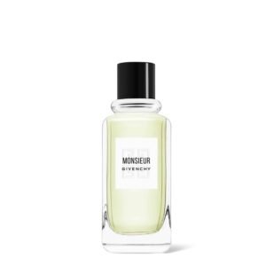 GIVENCHY - MONSIEUR DE GIVENCHY Eau de Toilette 100 ML (TESTER)