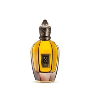 XERJOFF - AQUA REGIA EAU DE PARFUM 100 ML (TESTER)